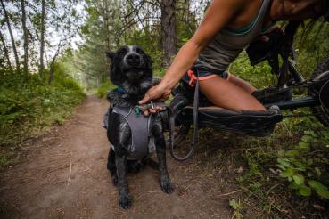 Ruffwear Switchbak Harness Granite Gray Gr. S